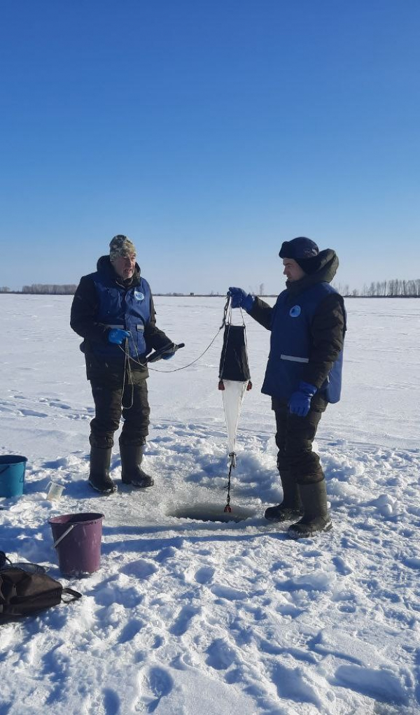Зимние мониторинговые наблюдения за состоянием кормовой базы рыб в зоне ответственности ТатарстанНИРО