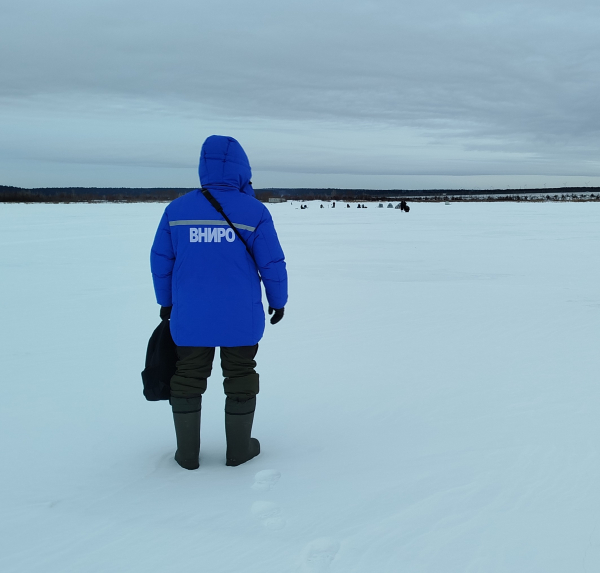 Специалисты Татарского филиала ВНИРО проводят традиционный зимний мониторинг активности рыболовов-любителей.